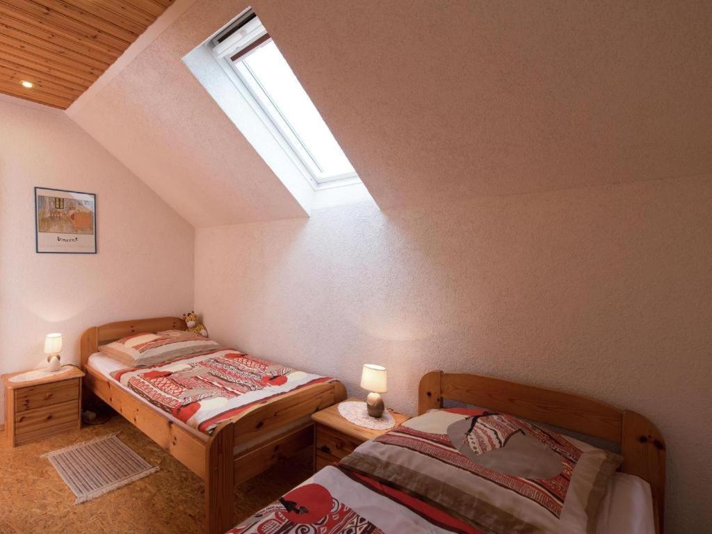 Ferienwohnung Ripa Erzgebirge In Schwarzenberg Шварценберг Екстер'єр фото